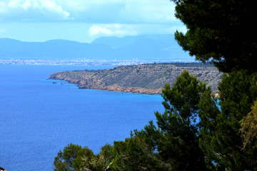 Thumbnail Image 1